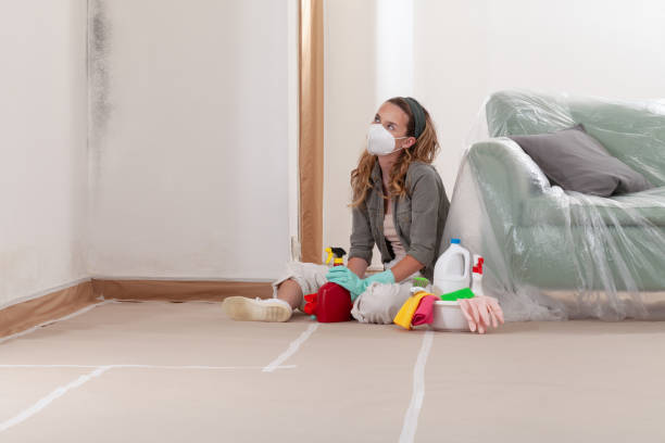 Reliable Mold Remediation contractor in Haworth, NJ by WQB Mold Removal